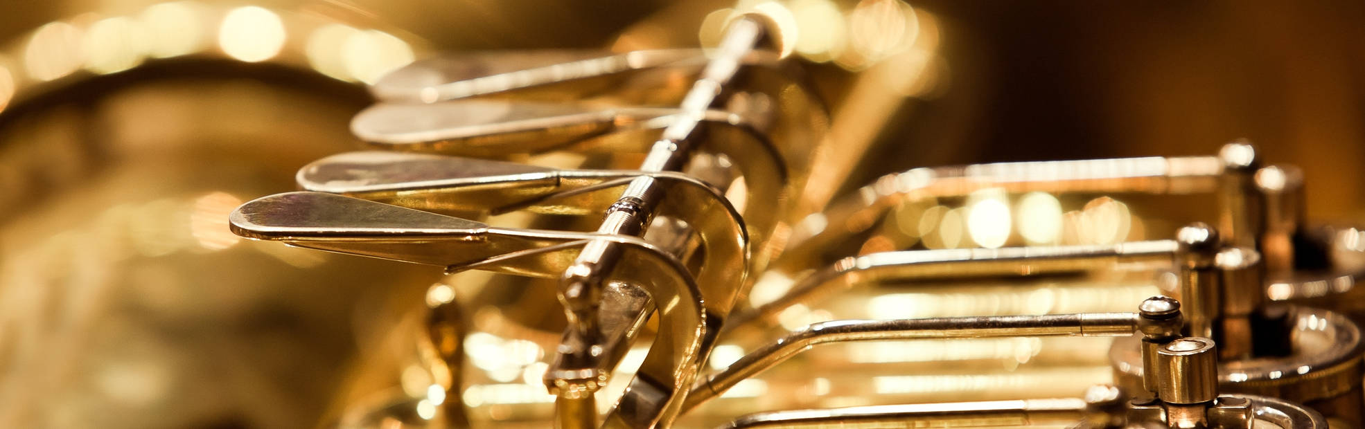 Instrument